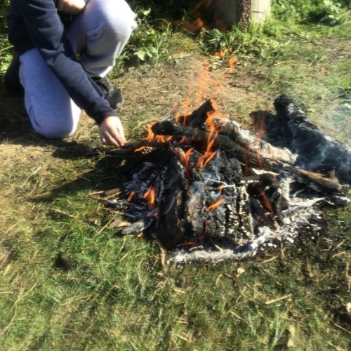 Image-1 (1)